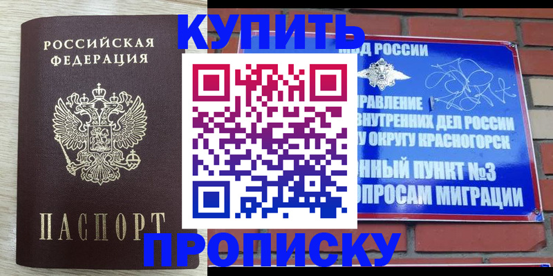 прописка гарантия в Менделеевске